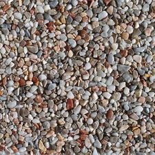 Marmorfarbe Forelle-grau